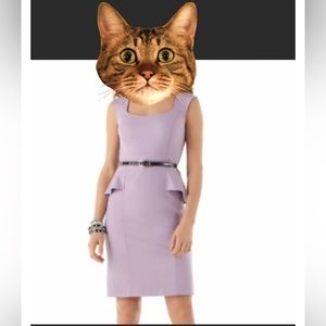 NWT-Soft Stretch Lilac Sheath Peplum Band Waist Square Neck Pencil Skirt Dress